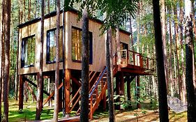 Tree Houses Olszanka